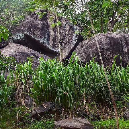 River Glamping By Gaga Bees Udawalawe Exterior photo